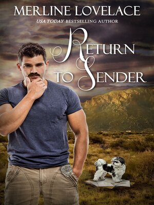 cover image of Return to Sender